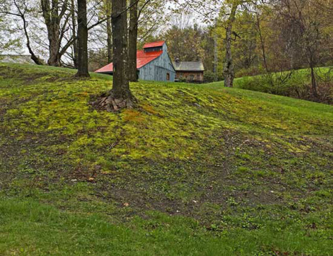 Methods for Removing Lawn